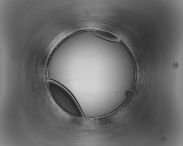 X0000113010901200909171426