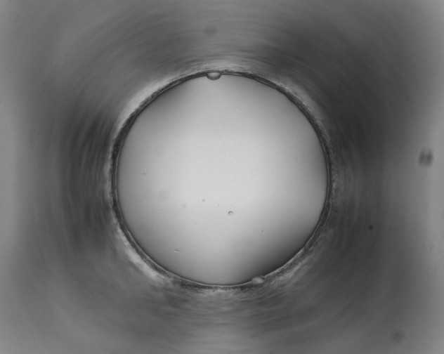 X0000113010902200909171426