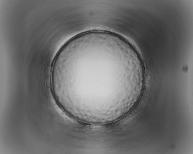 X0000113010903200909171426