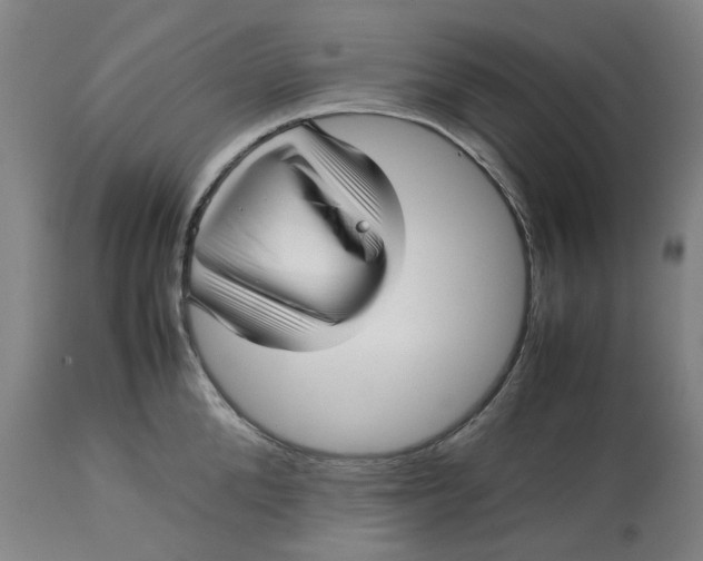 X0000113010904200909171426