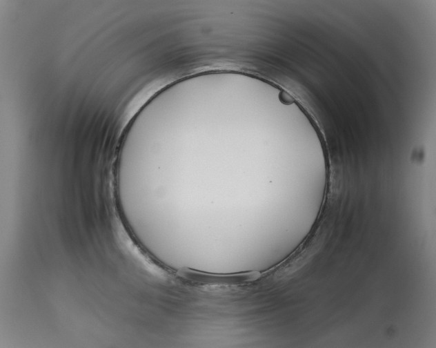 X0000113010906200909171426