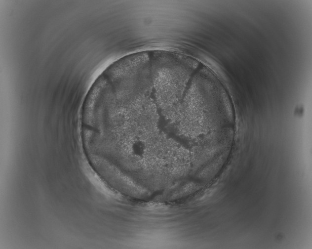 X0000113010907200909171426