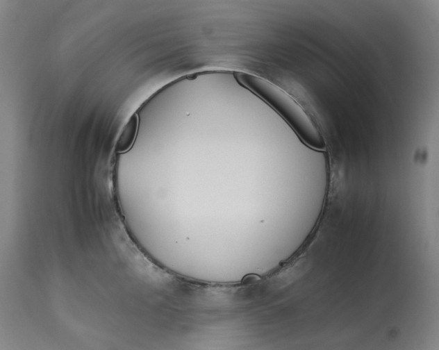 X0000113010908200909171426