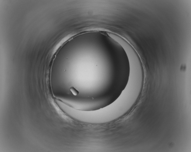 X0000113010909200909171426