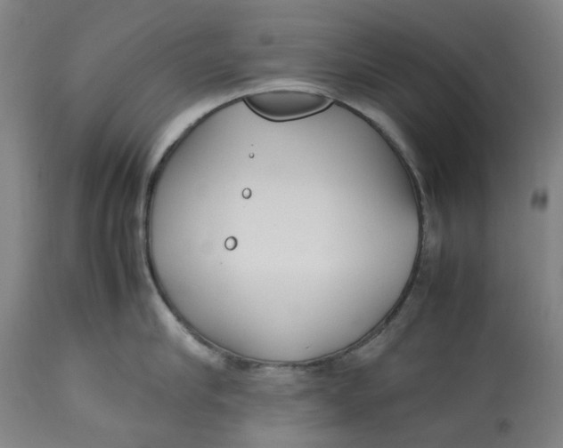 X0000113010910200909171426