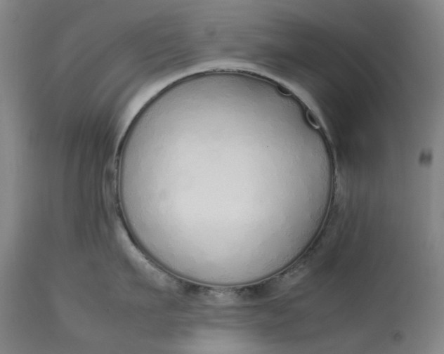 X0000113010911200909171426