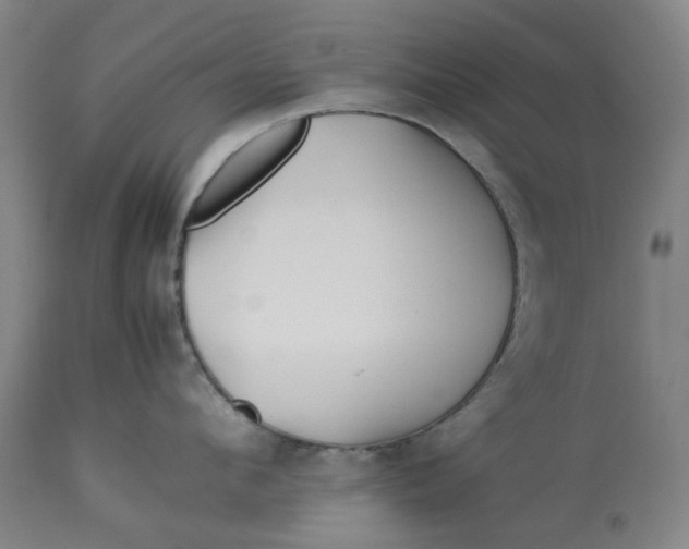 X0000113010912200909171426