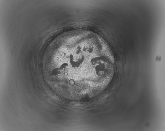 X0000113010913200909171425