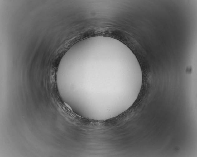 X0000113010914200909171426