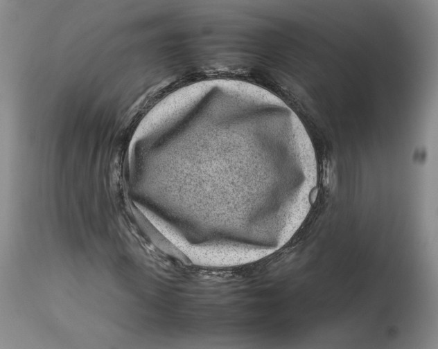 X0000113010915200909171426