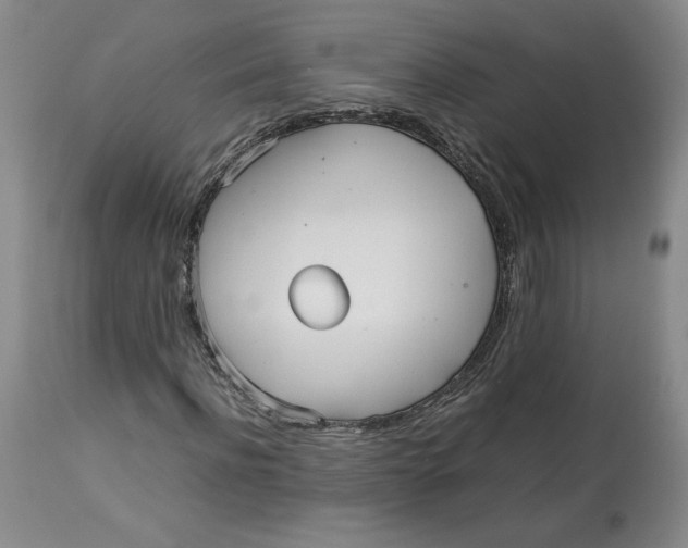 X0000113010916200909171426