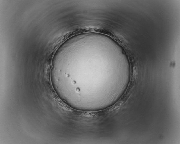 X0000113010917200909171426