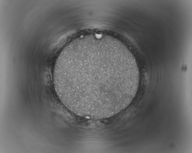 X0000113010918200909171426