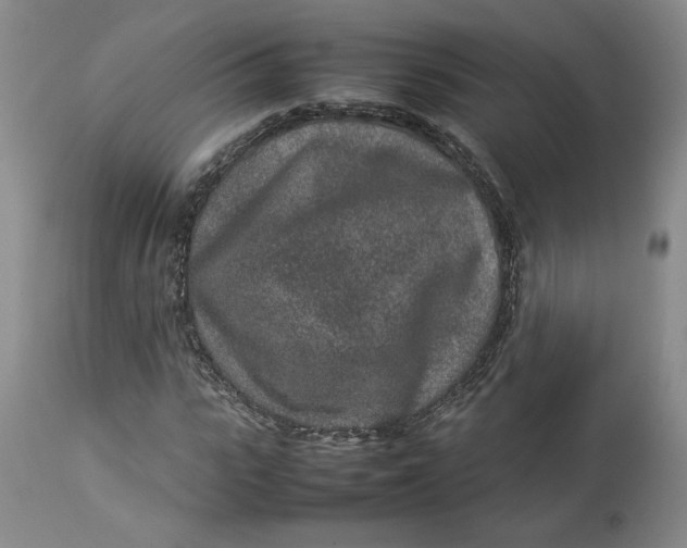 X0000113010919200909171426