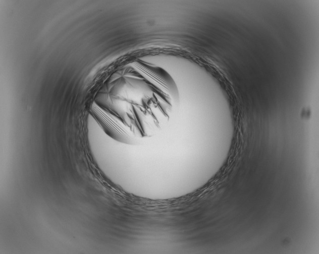 X0000113010920200909171426