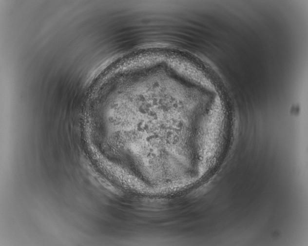 X0000113010921200909171426