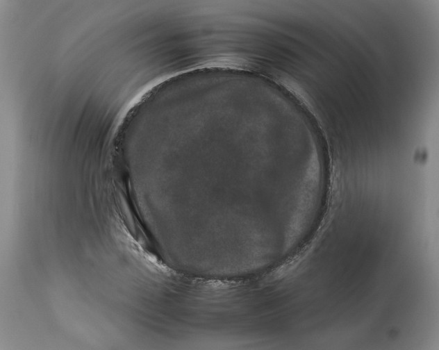 X0000113010923200909171426