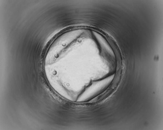 X0000113010925200909171426