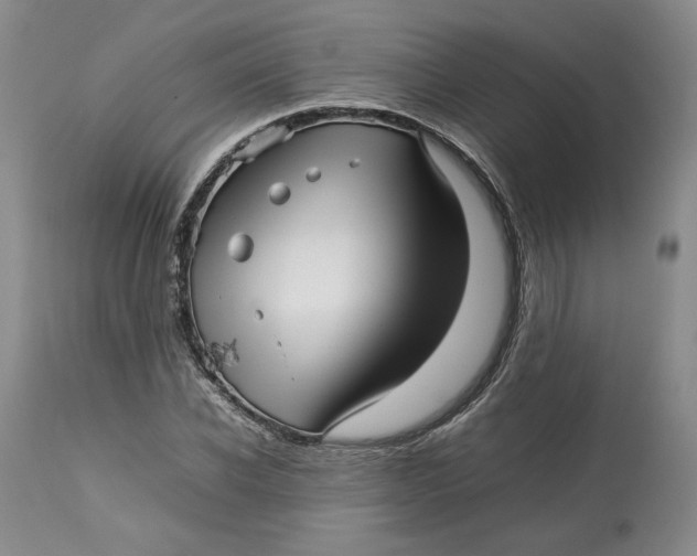 X0000113010926200909171426