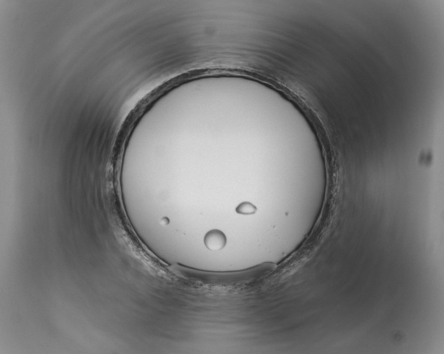 X0000113010928200909171426