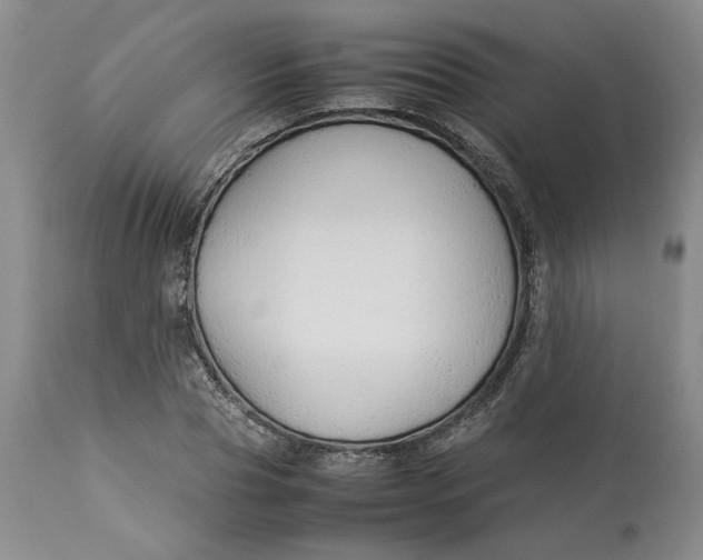 X0000113010929200909171426