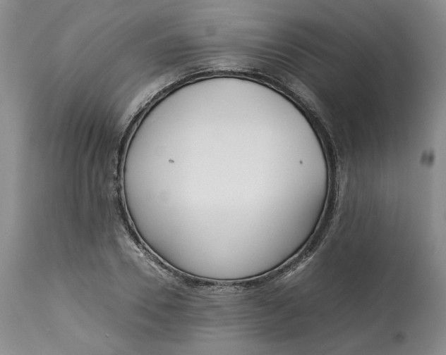 X0000113010930200909171426