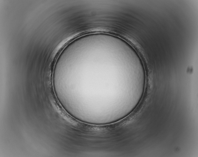 X0000113010933200909171426