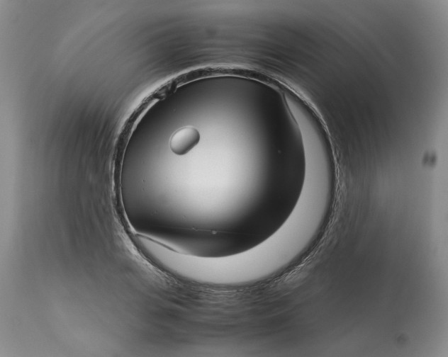 X0000113010935200909171426