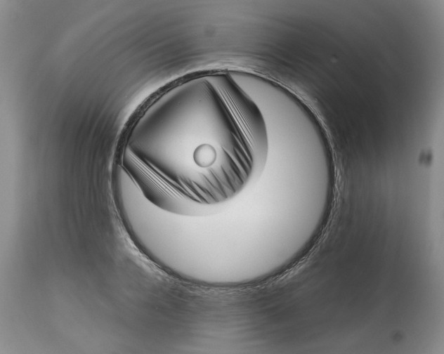 X0000113010936200909171426