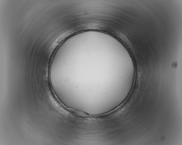 X0000113010938200909171426