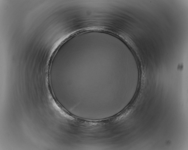 X0000113010941200909171426