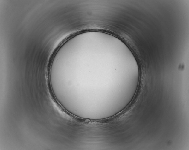 X0000113010942200909171426