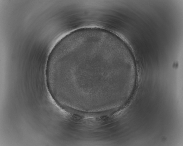 X0000113010943200909171426