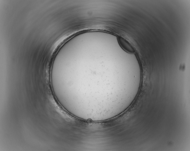 X0000113010944200909171426