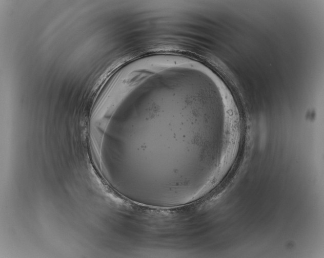 X0000113010945200909171426