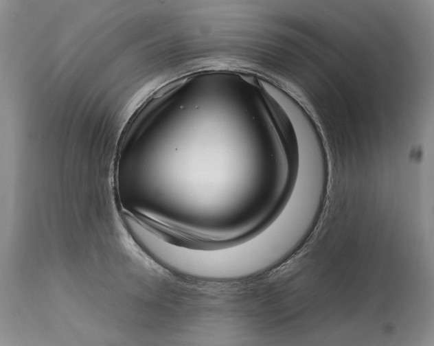 X0000113010946200909171426