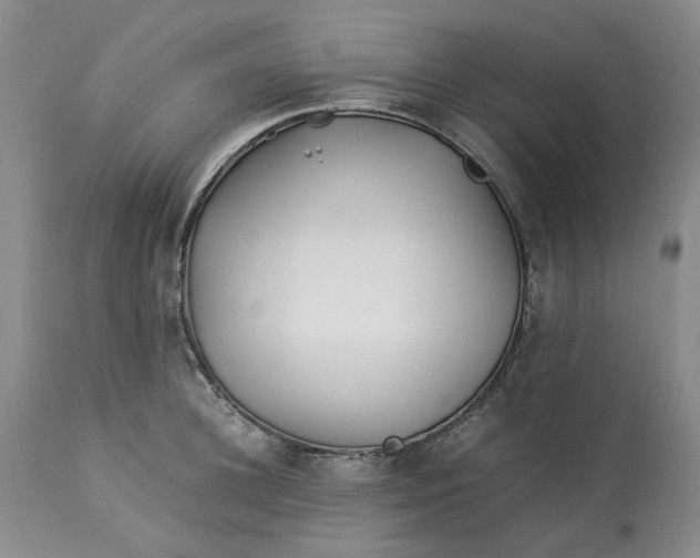 X0000113010948200909171426