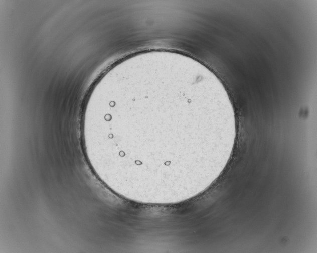 X0000113010950200909171426