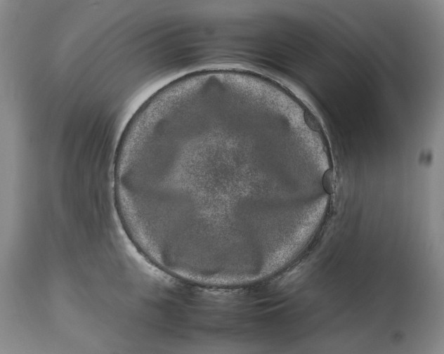 X0000113010951200909171426