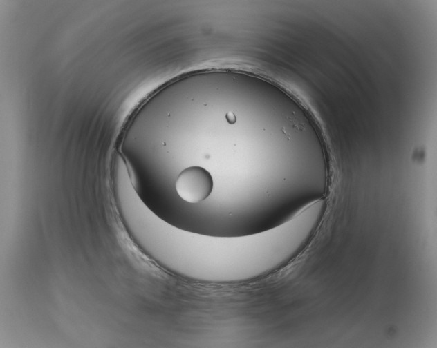 X0000113010952200909171426