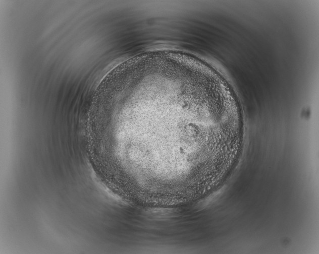 X0000113010953200909171426