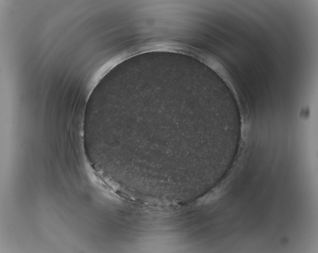 X0000113010954200909171426