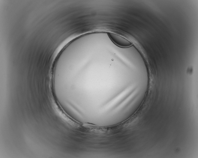 X0000113010955200909171426