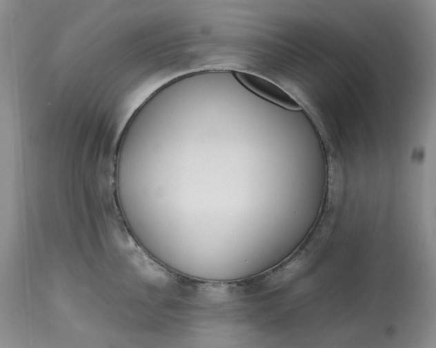 X0000113010956200909171426