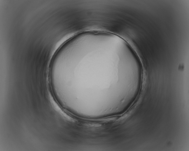 X0000113010957200909171426