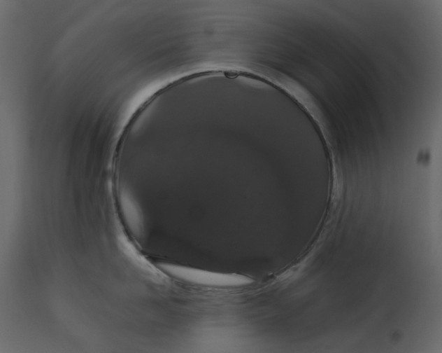 X0000113010958200909171426