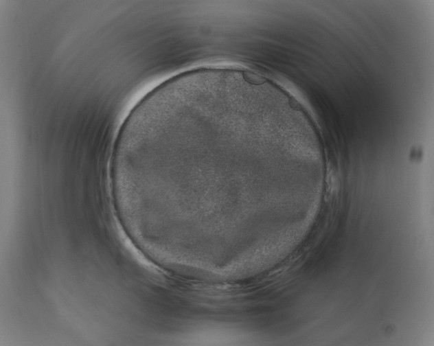 X0000113010959200909171426