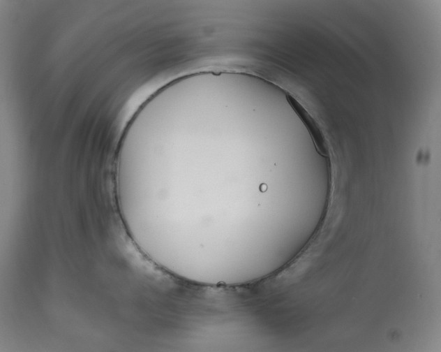 X0000113010960200909171426