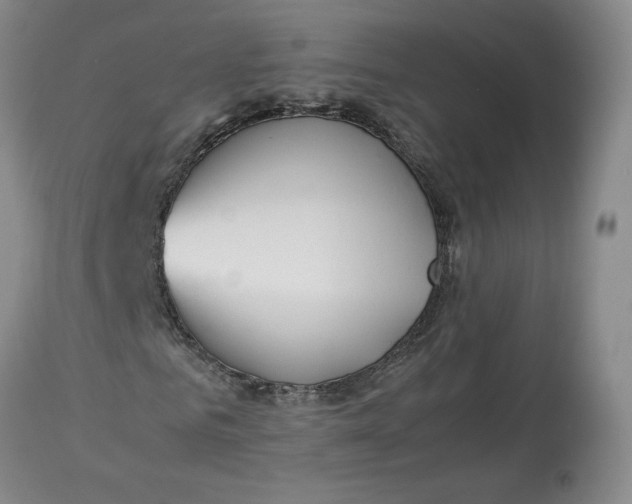 X0000113010961200909171425