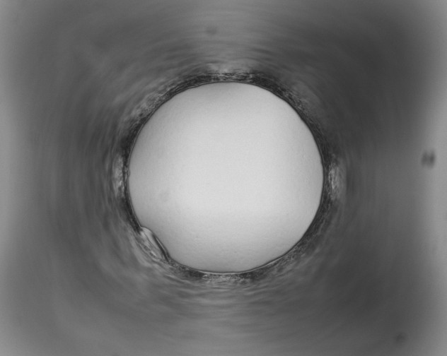 X0000113010963200909171425